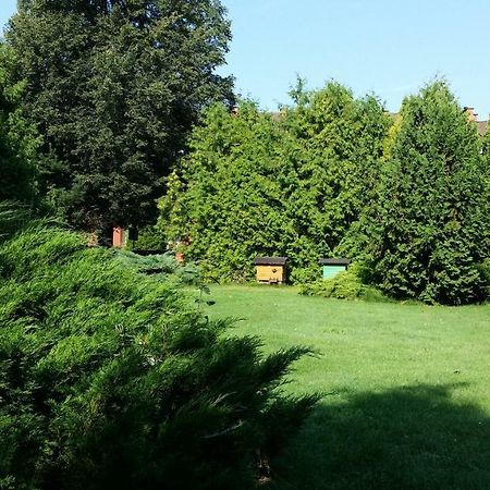 Kwiatowa Zagroda Białowieża エクステリア 写真