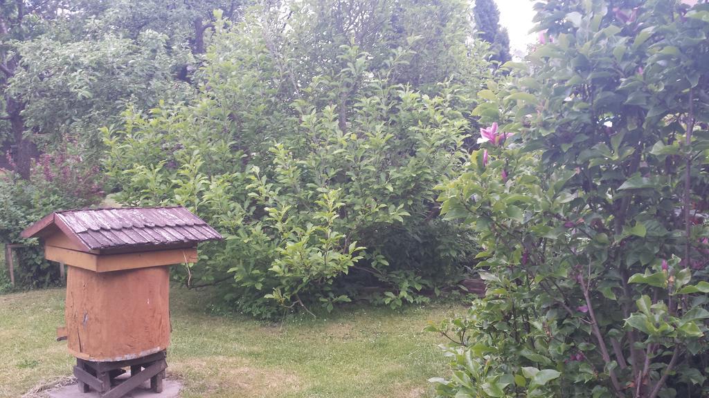 Kwiatowa Zagroda Białowieża エクステリア 写真