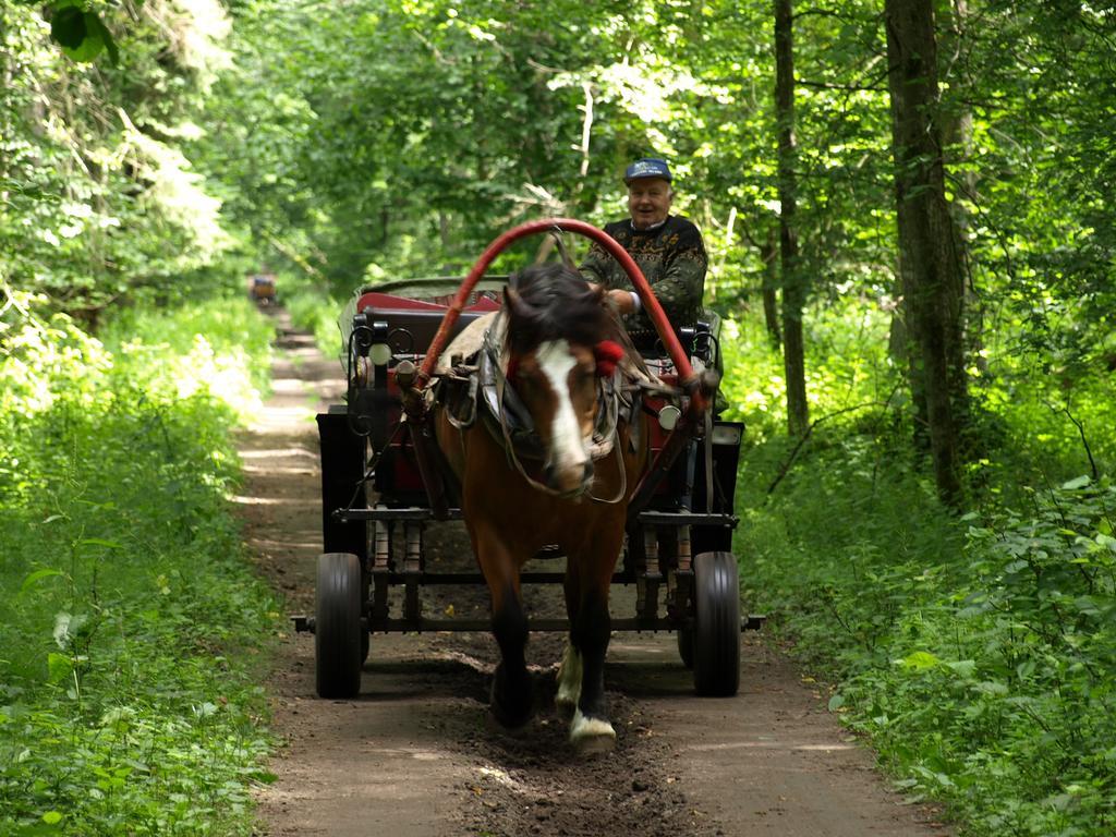 Kwiatowa Zagroda Białowieża エクステリア 写真